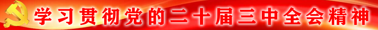 学习贯彻党的二十大专栏